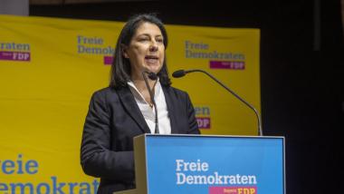 Katja Hessel, FDP